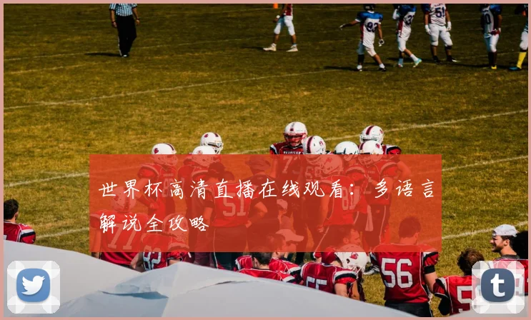 世界杯高清直播在线观看：多语言解说全攻略