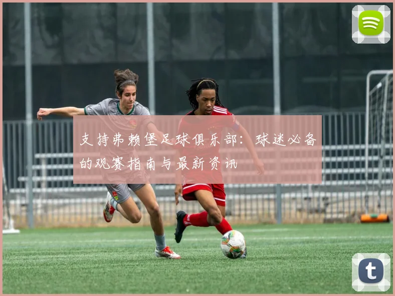 支持弗赖堡足球俱乐部：球迷必备的观赛指南与最新资讯