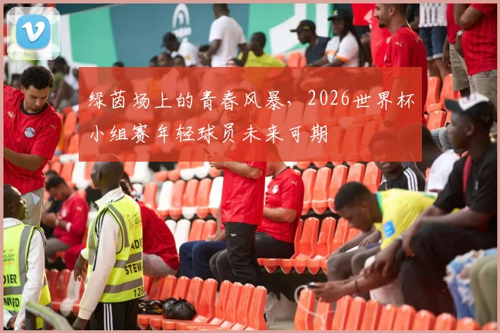绿茵场上的青春风暴，2026世界杯小组赛年轻球员未来可期